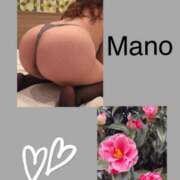 ヒメ日記 2025/04/01 09:55 投稿 真野 人妻楼 熊谷店