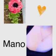 ヒメ日記 2025/04/06 10:06 投稿 真野 人妻楼 熊谷店