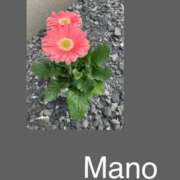 ヒメ日記 2025/04/24 17:05 投稿 真野 人妻楼 熊谷店