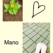 ヒメ日記 2025/05/14 08:09 投稿 真野 人妻楼 熊谷店