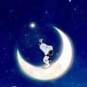 ヒメ日記 2025/05/25 09:20 投稿 真野 人妻楼 熊谷店