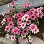 ヒメ日記 2025/10/23 11:10 投稿 真野 人妻楼 熊谷店