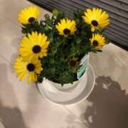 ヒメ日記 2025/10/24 06:26 投稿 真野 人妻楼 熊谷店