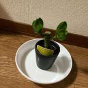 ヒメ日記 2025/10/25 09:12 投稿 真野 人妻楼 熊谷店