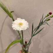 ヒメ日記 2026/01/26 08:03 投稿 真野 人妻楼 熊谷店