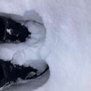 ヒメ日記 2026/02/08 08:35 投稿 真野 人妻楼 熊谷店