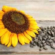 ヒメ日記 2026/04/22 17:22 投稿 真野 人妻楼 熊谷店