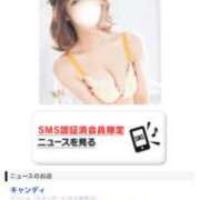 ヒメ日記 2025/11/28 14:00 投稿 コノハ キャンディ(鹿児島)