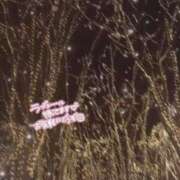 ヒメ日記 2024/12/17 20:28 投稿 まいか 白いぽっちゃりさん仙台店