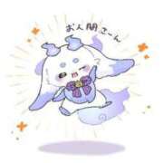 ヒメ日記 2025/02/26 20:13 投稿 まいか 白いぽっちゃりさん仙台店