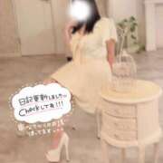 ヒメ日記 2025/03/12 17:28 投稿 まいか 白いぽっちゃりさん仙台店