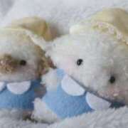 ヒメ日記 2025/03/13 17:18 投稿 まいか 白いぽっちゃりさん仙台店