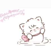 ヒメ日記 2025/10/19 01:38 投稿 まいか 白いぽっちゃりさん仙台店