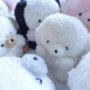 ヒメ日記 2025/11/08 10:38 投稿 まいか 白いぽっちゃりさん仙台店