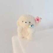 ヒメ日記 2026/01/22 18:32 投稿 まいか 白いぽっちゃりさん仙台店