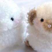 ヒメ日記 2026/01/23 18:18 投稿 まいか 白いぽっちゃりさん仙台店