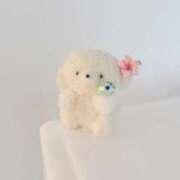 ヒメ日記 2026/01/27 12:19 投稿 まいか 白いぽっちゃりさん仙台店