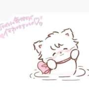 ヒメ日記 2026/01/30 00:18 投稿 まいか 白いぽっちゃりさん仙台店