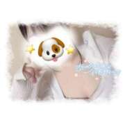 ヒメ日記 2026/02/11 02:08 投稿 まいか 白いぽっちゃりさん仙台店