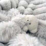 ヒメ日記 2026/02/21 10:48 投稿 まいか 白いぽっちゃりさん仙台店