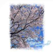 ヒメ日記 2026/04/08 15:48 投稿 まいか 白いぽっちゃりさん仙台店