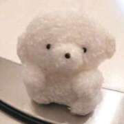 ヒメ日記 2026/04/18 19:08 投稿 まいか 白いぽっちゃりさん仙台店