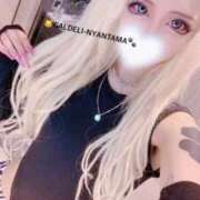 ヒメ日記 2026/02/08 20:47 投稿 にゃんたま 池袋ギャルデリ