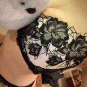 ヒメ日記 2026/02/28 11:23 投稿 きき ふわメロ