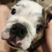 ヒメ日記 2025/09/13 16:06 投稿 みか フローラル