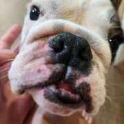 ヒメ日記 2025/09/21 09:00 投稿 みか フローラル