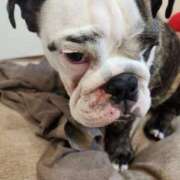 ヒメ日記 2025/09/21 15:13 投稿 みか フローラル