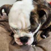 ヒメ日記 2025/09/22 19:41 投稿 みか フローラル