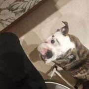 ヒメ日記 2025/10/04 21:20 投稿 みか フローラル