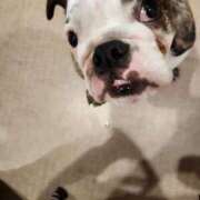 ヒメ日記 2025/10/13 16:19 投稿 みか フローラル