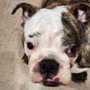 ヒメ日記 2025/10/19 20:43 投稿 みか フローラル