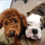 ヒメ日記 2025/12/06 08:58 投稿 みか フローラル