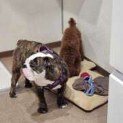 ヒメ日記 2026/02/21 09:05 投稿 みか フローラル