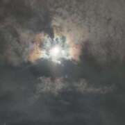 ヒメ日記 2025/05/27 11:39 投稿 なつみ フローラル