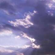 ヒメ日記 2025/08/17 19:13 投稿 なつみ フローラル