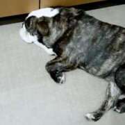 ヒメ日記 2025/10/03 20:58 投稿 なつみ フローラル