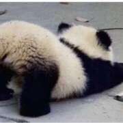 ヒメ日記 2025/11/14 17:35 投稿 なつみ フローラル