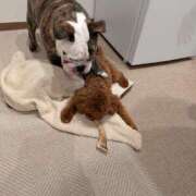 ヒメ日記 2025/12/01 21:30 投稿 なつみ フローラル