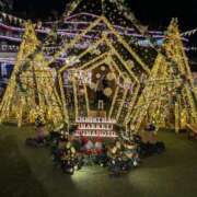 ヒメ日記 2025/12/04 18:36 投稿 なつみ フローラル