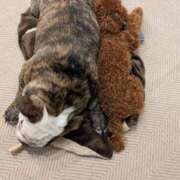 ヒメ日記 2026/01/03 20:31 投稿 なつみ フローラル