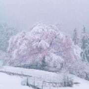 ヒメ日記 2026/01/11 11:53 投稿 なつみ フローラル