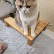 ヒメ日記 2026/02/26 21:17 投稿 なつみ フローラル