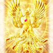 ヒメ日記 2026/02/26 21:12 投稿 なつみ フローラル