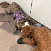 ヒメ日記 2026/03/25 21:26 投稿 なつみ フローラル