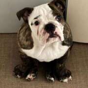 ヒメ日記 2026/04/21 17:37 投稿 なつみ フローラル