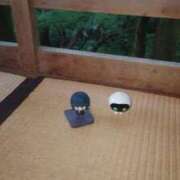 なつみ こんばんは🌙 フローラル